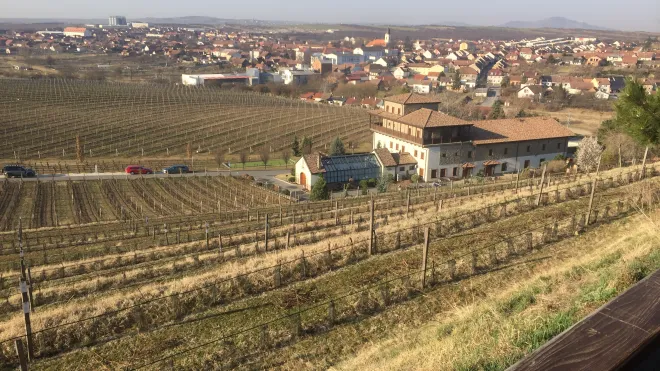 Prezentace služby PPS klientům CE.ENERGY - Velké Pavlovice