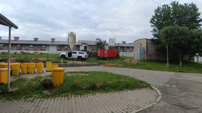 Zbytečná smrt kvůli několika stokorunám!